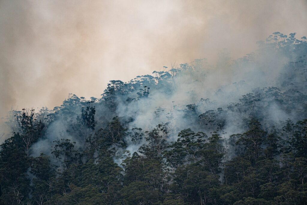 BAL reports surf coast, geelong and otway region, bushfire assessment, BAL assessment