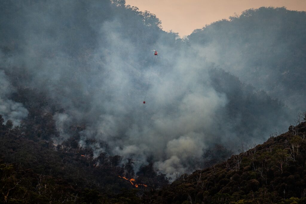 bushfire attack level reports surfcoast, BAL assessment surfcoast