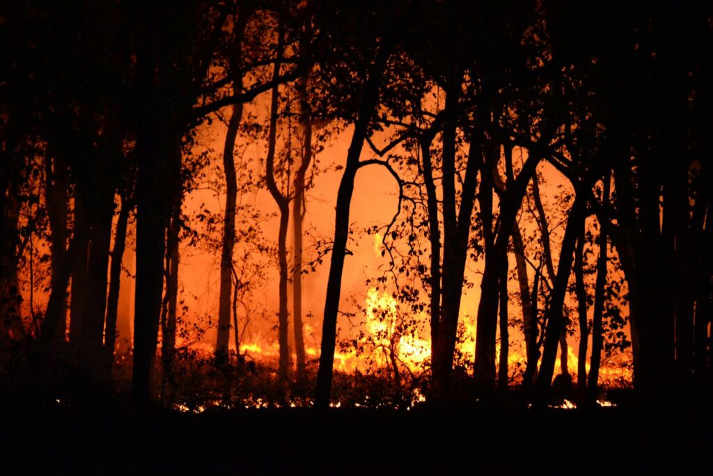 When is a building project exempt from the Bushfire Management Overlay ( BMO )